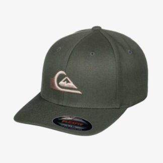 Quiksilver Mountain And Wave - Flexfit®Kappe - Green