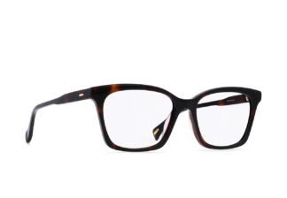 RAEN Del 53 Kola Tortoise - Clear