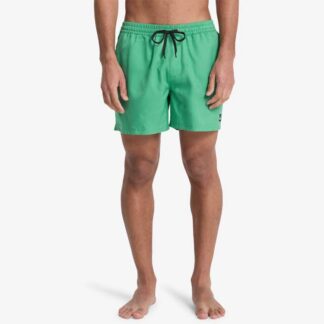 Quiksilver Everyday Deluxe 15" - Schwimmshorts - Leprechaun